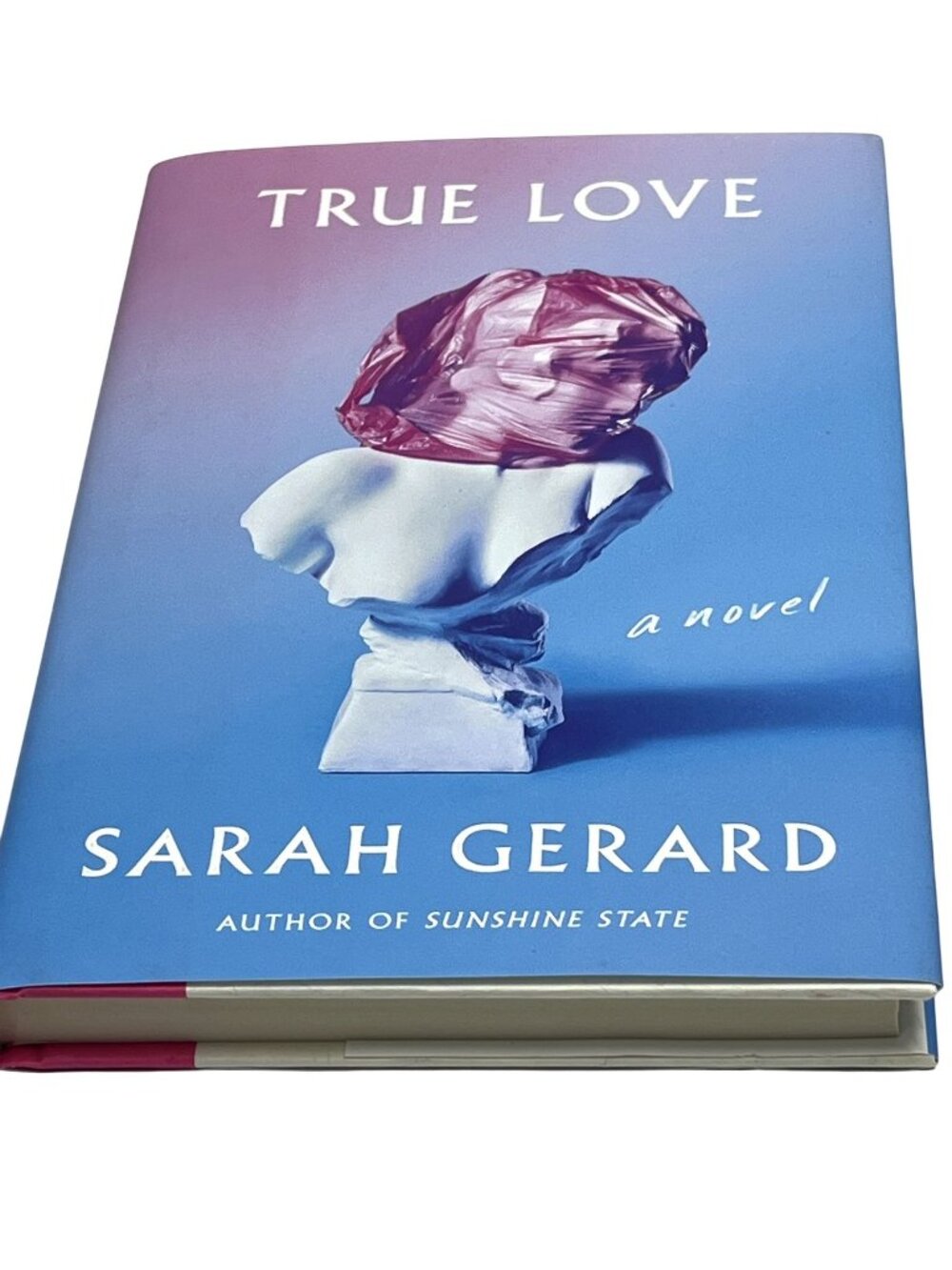 True Love by Sarah Gerard Literary Fiction Hardcover Relationships Novel Book